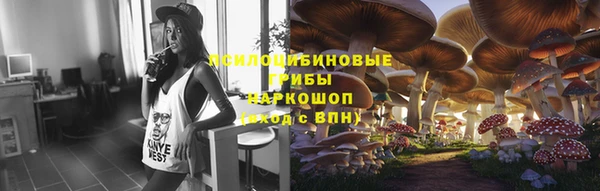 спиды Бугульма