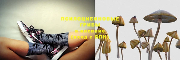 гидра Верхнеуральск