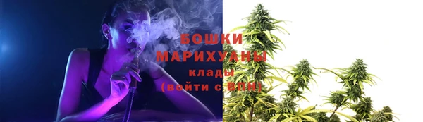 соль ск Бородино