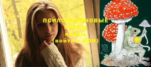 спиды Бугульма