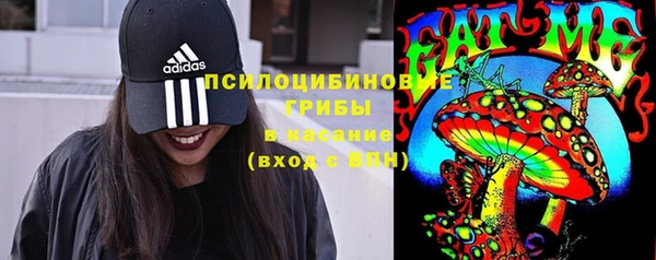 спиды Бугульма